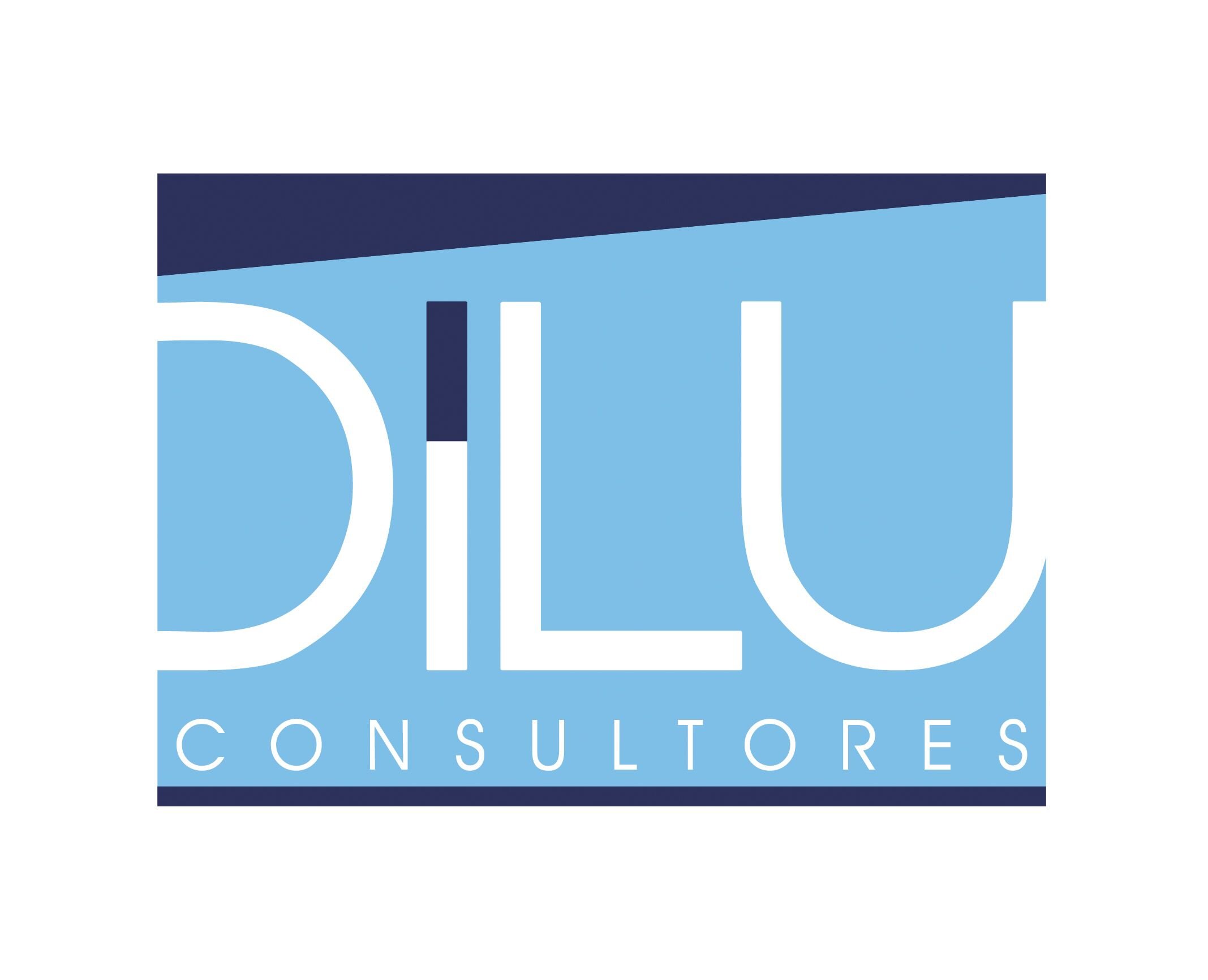 Dilu consultores