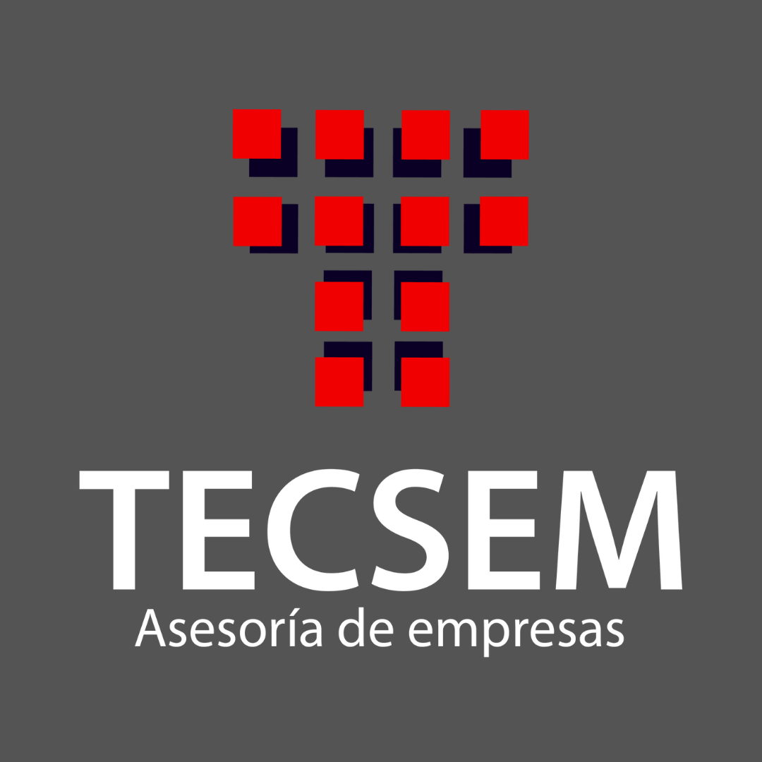 TECSEM Asesoría de empresas