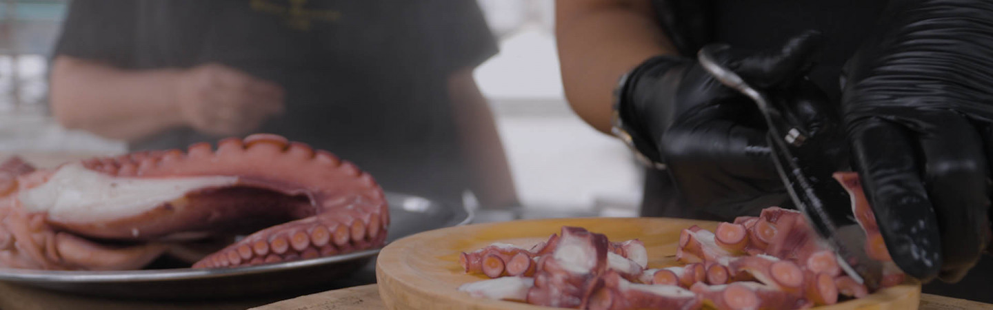 pulpo 16x9