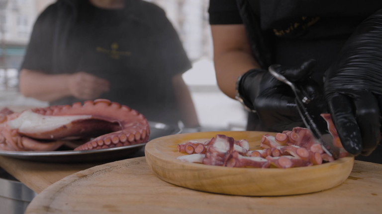 pulpo 16x9
