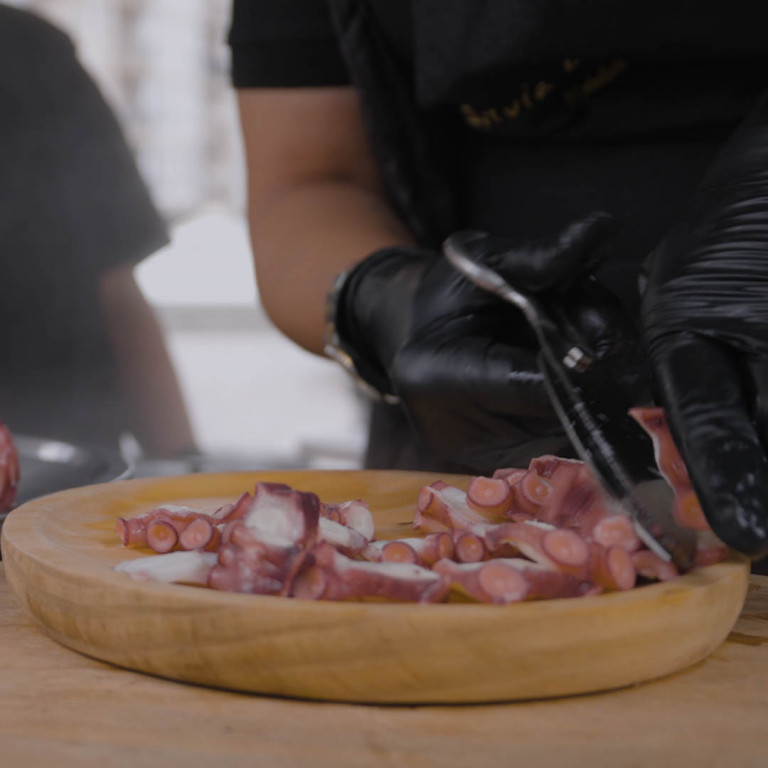 pulpo 1x1