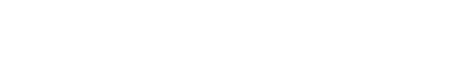 Emorvisa